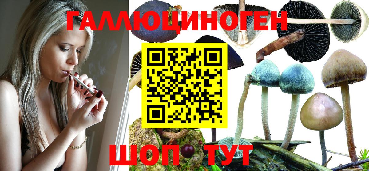 Псилоцибиновые грибы Psilocybine cubensis  Вход с VPN  Галлюциногенные грибы Psilocybine cubensis  Лангепас 