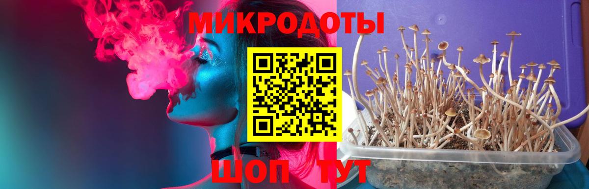 Галлюциногенные грибы Magic Shrooms Лангепас